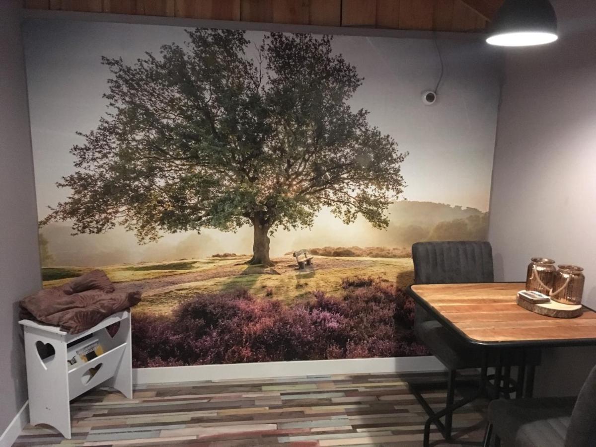 Veluwse Bos En Heide Studio オッテルロ エクステリア 写真